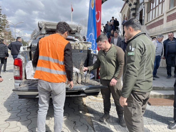 Foto - Camide vatandaşlara 3 bin fidan