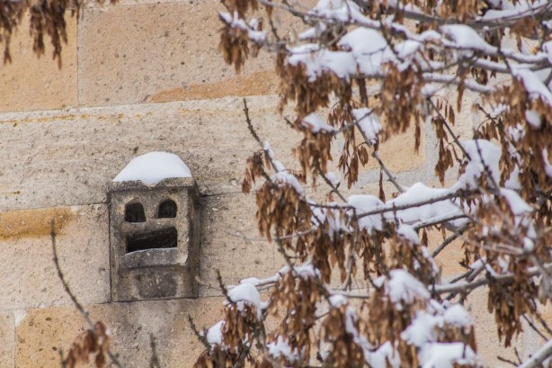 Camiilerde neden kuş evi bulunur? Sebebi herkesi şaşırtacak