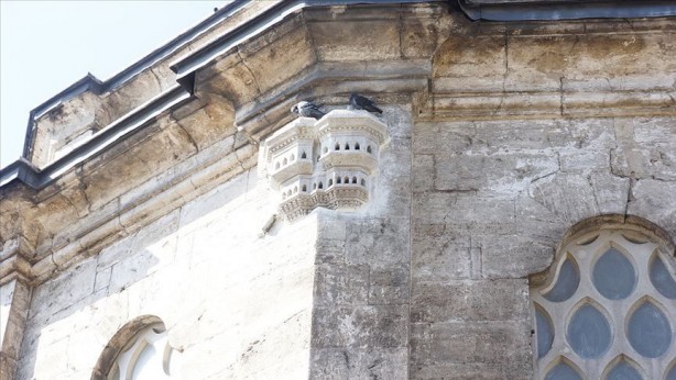 Foto - Camiilerde neden kuş evi bulunur? Sebebi herkesi şaşırtacak