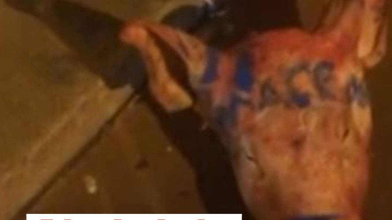 Foto - Camilerin önüne kesik baş atıp kaçtılar!