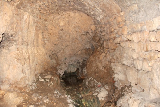 Caminin altından geçiyor! Görenler şaşkına dönüyor