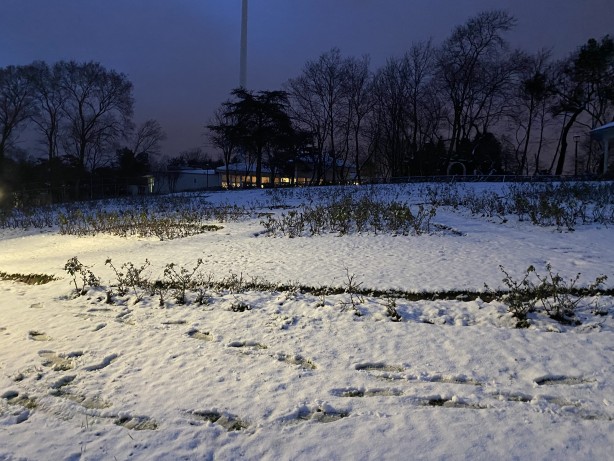 Foto - Çamlıca Tepesi beyaza büründü