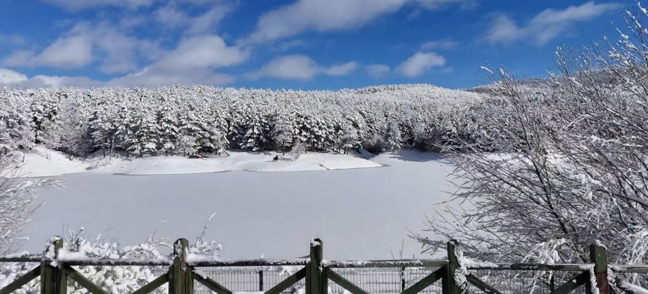 Foto - Çamlık Milli Parkı’nda Kartpostallık Kış Manzaraları