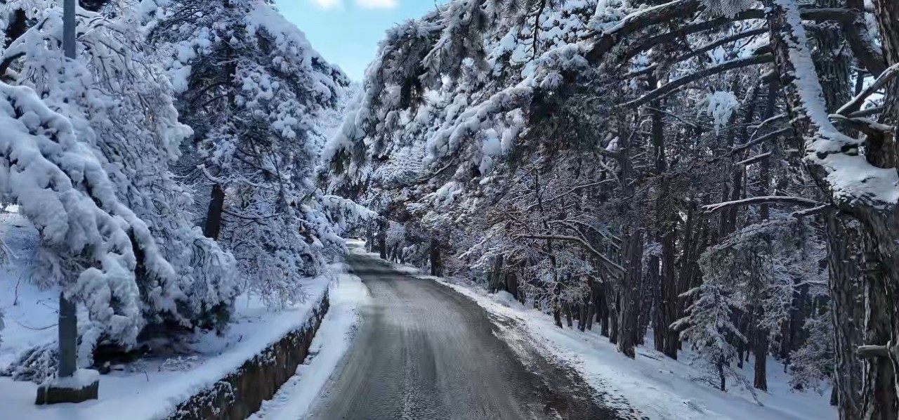 Foto - Çamlık Milli Parkı’nda Kartpostallık Kış Manzaraları