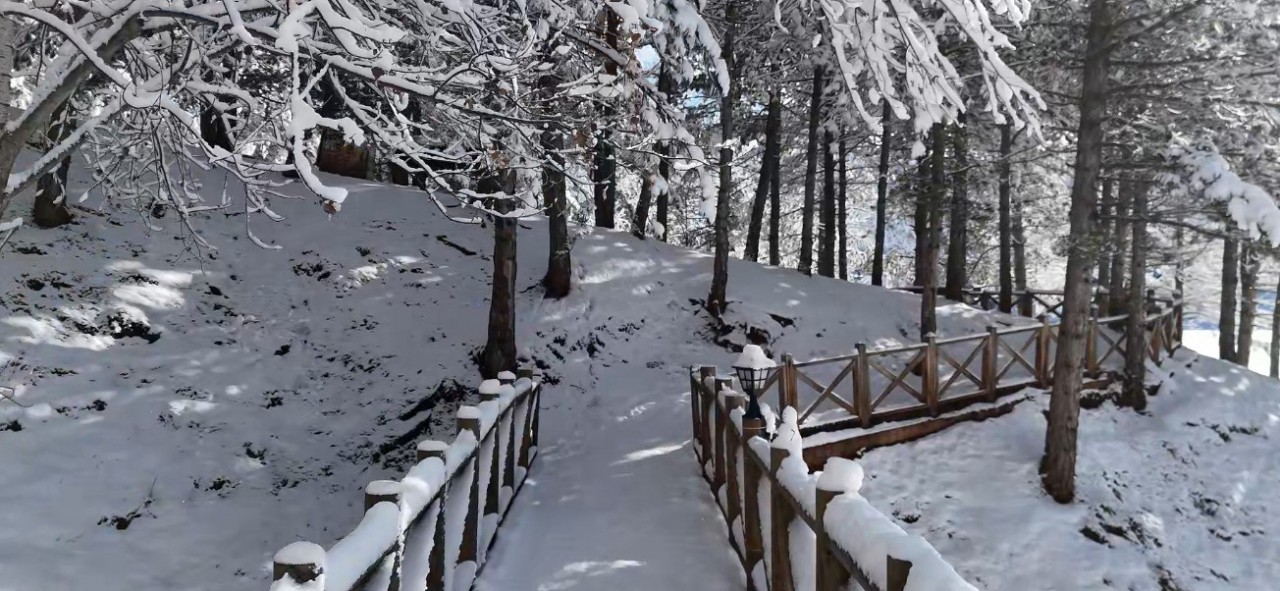 Foto - Çamlık Milli Parkı’nda Kartpostallık Kış Manzaraları