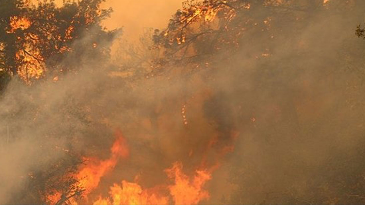 Foto - Çanakale'deki yangından saat 13.30 itibariyle haber geldi