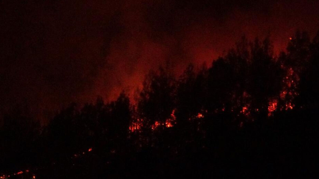 Foto - Çanakale'deki yangından saat 13.30 itibariyle haber geldi