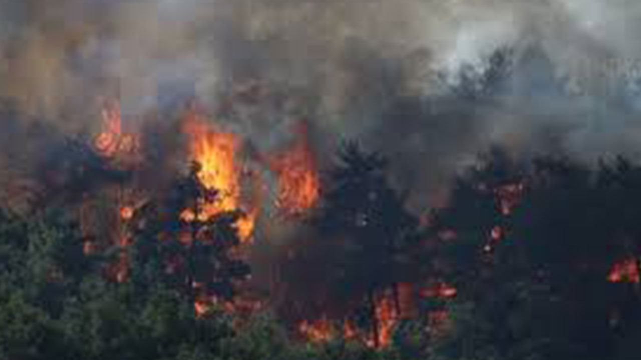 Foto - Çanakale'deki yangından saat 13.30 itibariyle haber geldi