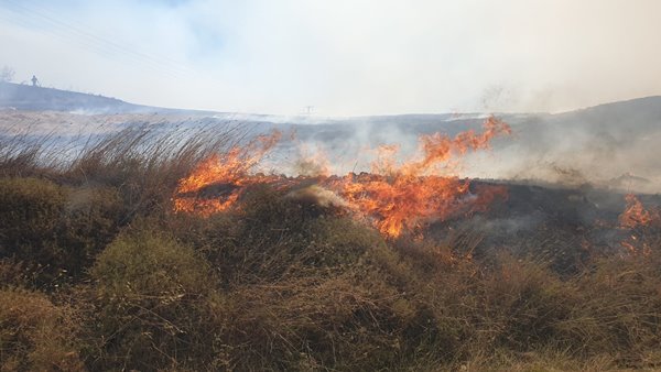 Foto - Çanakkale Boğazı trafiğe kapatıldı! Korkunç yangın