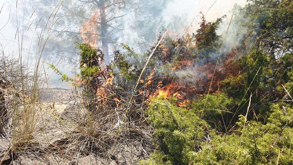 Foto - Çanakkale Boğazı trafiğe kapatıldı! Korkunç yangın