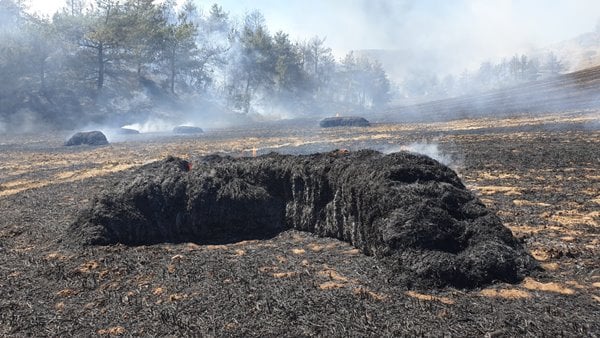 Foto - Çanakkale Boğazı trafiğe kapatıldı! Korkunç yangın