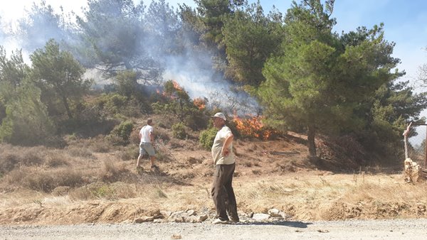 Foto - Çanakkale Boğazı trafiğe kapatıldı! Korkunç yangın