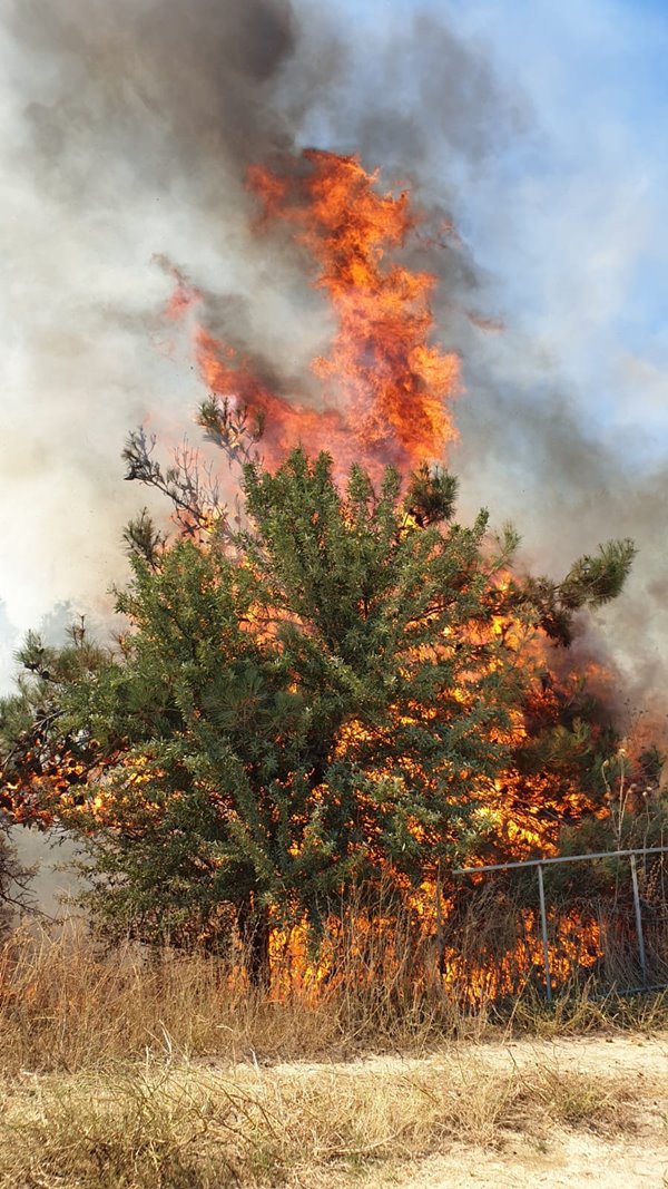 Foto - Çanakkale Boğazı trafiğe kapatıldı! Korkunç yangın