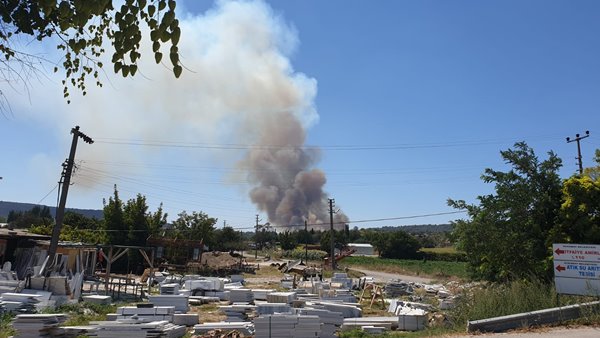 Foto - Çanakkale Boğazı trafiğe kapatıldı! Korkunç yangın
