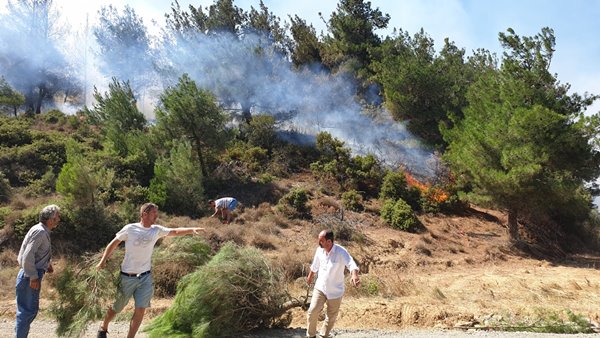 Foto - Çanakkale Boğazı trafiğe kapatıldı! Korkunç yangın