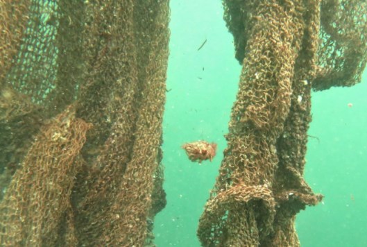 Foto - Çanakkale Boğazı’nda Türkiye gündemine oturan görüntüler! ‘Ölüm tuzakları’