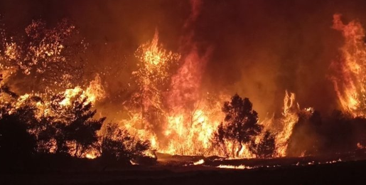 Foto - Çanakkale yanıyor! CHP'li başkan hala kayıplarda