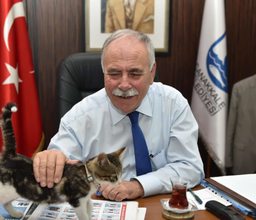 Foto - Çanakkale yanıyor! CHP'li başkan hala kayıplarda