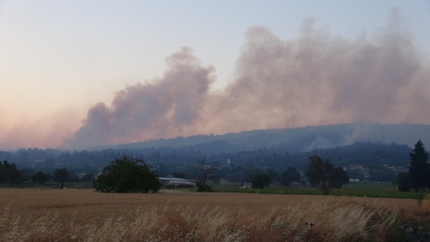 Foto - Çanakkale'de 14 saattir kontrol altına alınamayan orman yangınına havadan müdahale başladı