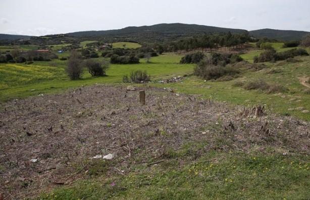 Foto - Çanakkale'de bir asır sonra ortaya çıktı