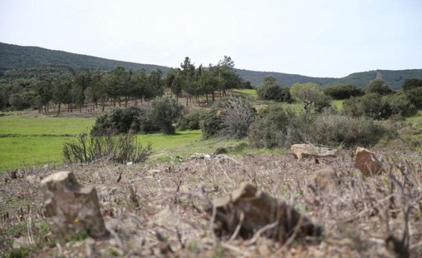  Çanakkale'de bir asır sonra ortaya çıktı