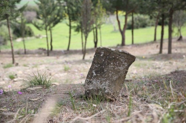 Foto - Çanakkale'de bir asır sonra ortaya çıktı