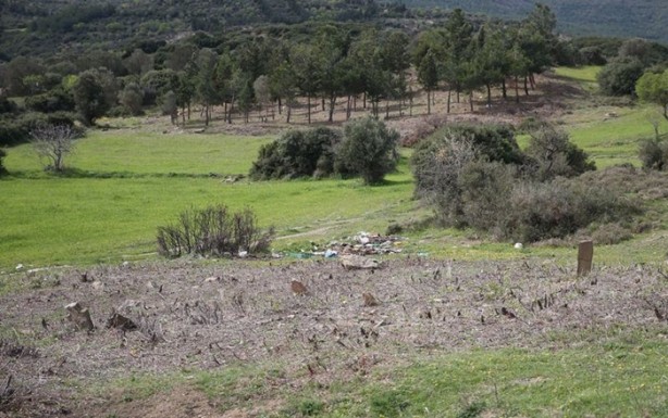 Foto - Çanakkale'de bir asır sonra ortaya çıktı