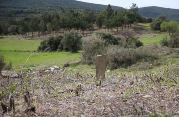 Foto - Çanakkale'de bir asır sonra ortaya çıktı