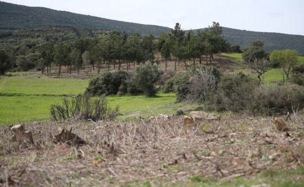 Foto - Çanakkale'de bir asır sonra ortaya çıktı
