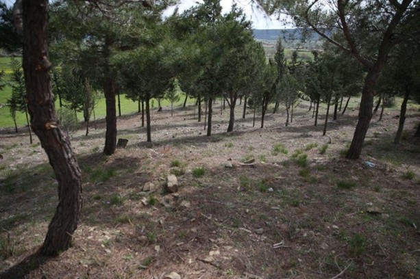 Foto - Çanakkale'de bir asır sonra ortaya çıktı