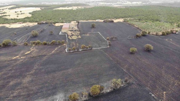 Foto - Çanakkale’de bir ayda 132 yangın: 2 bin 625 futbol sahası büyüklüğünde orman yok oldu