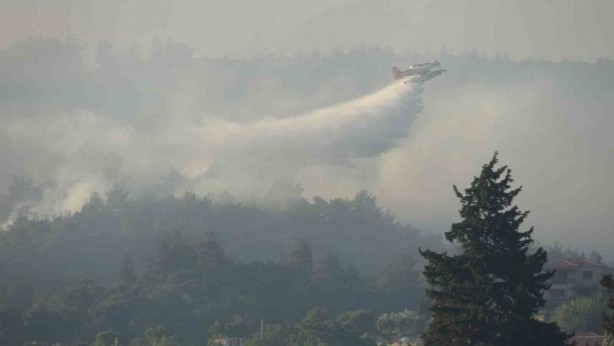 Foto - Çanakkale’de bir ayda 132 yangın: 2 bin 625 futbol sahası büyüklüğünde orman yok oldu