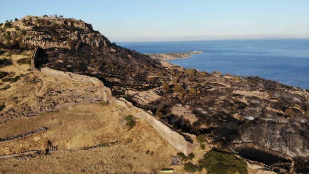 Foto - Çanakkale’de bir ayda 132 yangın: 2 bin 625 futbol sahası büyüklüğünde orman yok oldu