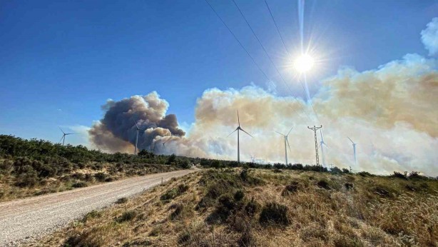 Foto - Çanakkale’de bir ayda 132 yangın: 2 bin 625 futbol sahası büyüklüğünde orman yok oldu