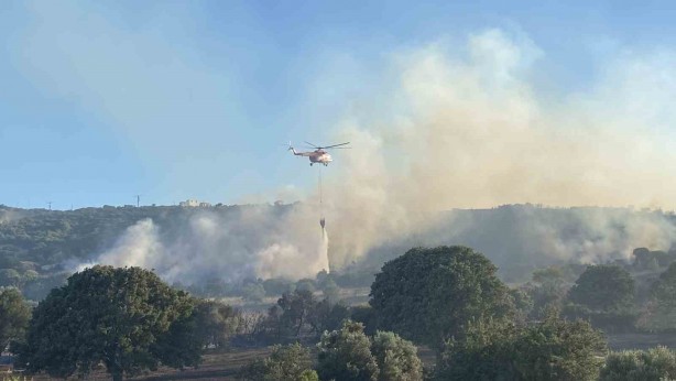 Foto - Çanakkale’de bir ayda 132 yangın: 2 bin 625 futbol sahası büyüklüğünde orman yok oldu