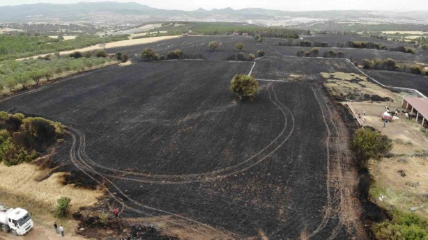 Foto - Çanakkale’de bir ayda 132 yangın: 2 bin 625 futbol sahası büyüklüğünde orman yok oldu