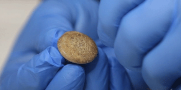 Foto - Çanakkale’de büyük keşif! Tam 3300 yıl öncesine ait