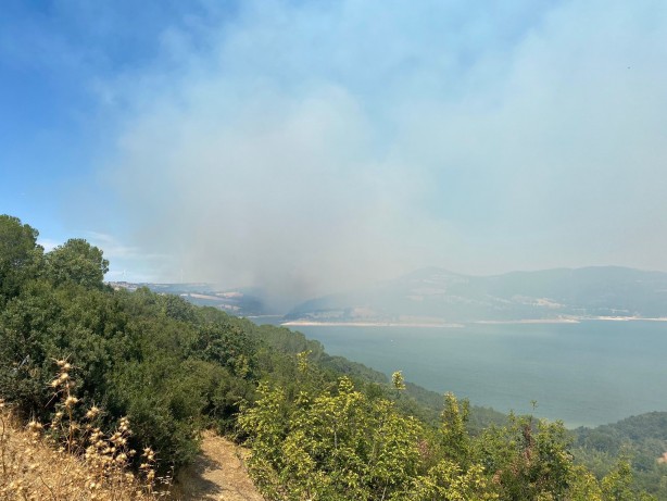 Foto - Çanakkale’de de yangın çıktı
