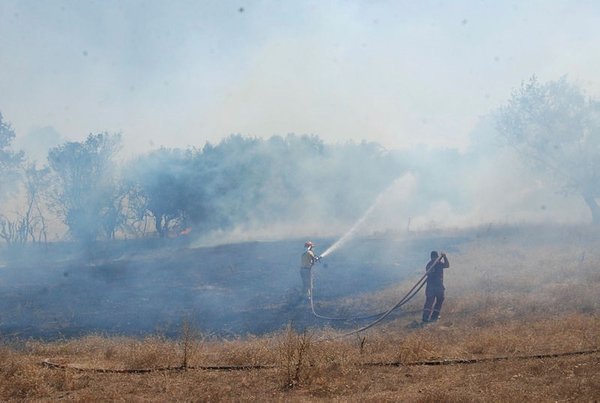 Foto - Çanakkale'de korkutan orman yangını