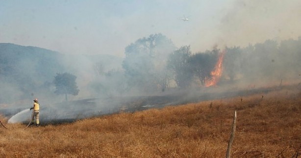 Çanakkale'de korkutan orman yangını