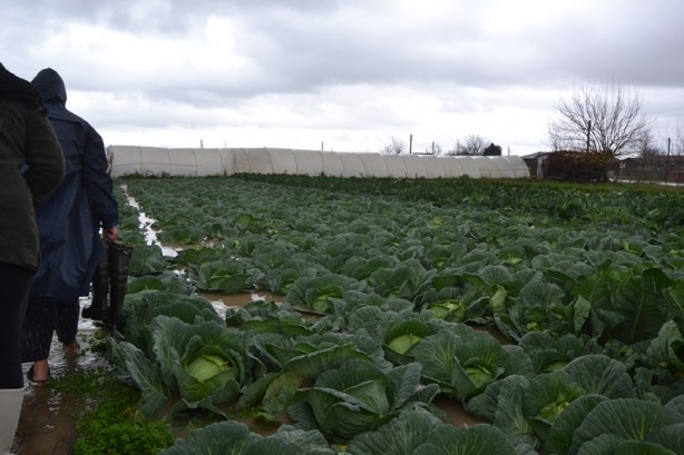 Foto - Çanakkale'de şiddetli yağış! Tarım alanlarını su bastı