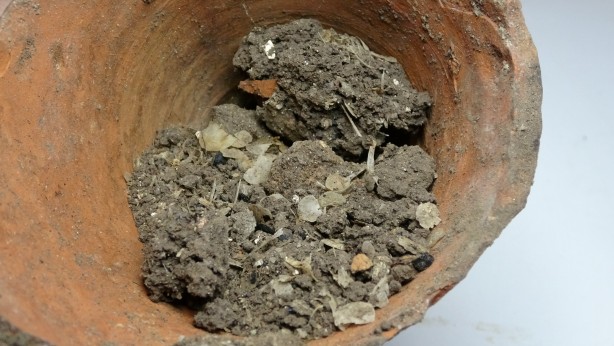 Çanakkale'de tarihi keşif! Kazdıkça fışkırıyor... 1600 yıllık