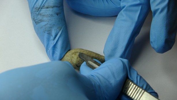 Foto - Çanakkale'de yeni keşif! Tam 3 bin 400 yıllık