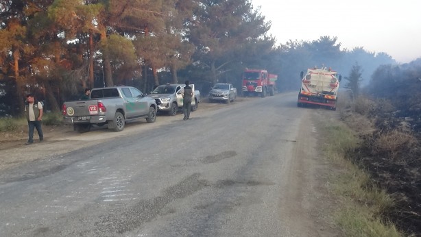 Foto - Çanakkale'deki orman yangınına 38. saatte ekipler müdahale etmeye devam ediyor