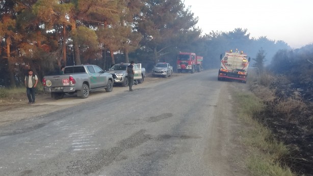 Foto - Çanakkale'deki orman yangınına 38. saatte ekipler müdahale etmeye devam ediyor