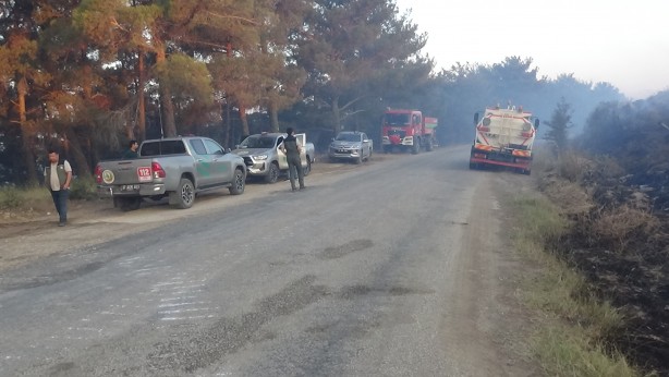 Foto - Çanakkale'deki orman yangınına 38. saatte ekipler müdahale etmeye devam ediyor