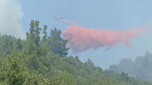 Foto - Çanakkale'deki orman yangınına müdahale sürüyor!