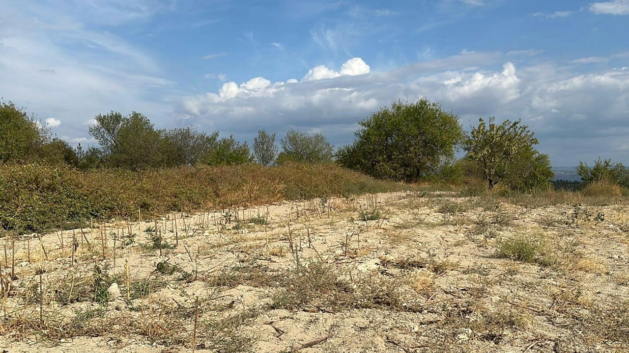 Foto - Çanakkale’den 110 yıl sonra gelen satırlar: Teğmen İbrahim Naci’nin günlüğü ortaya çıktı