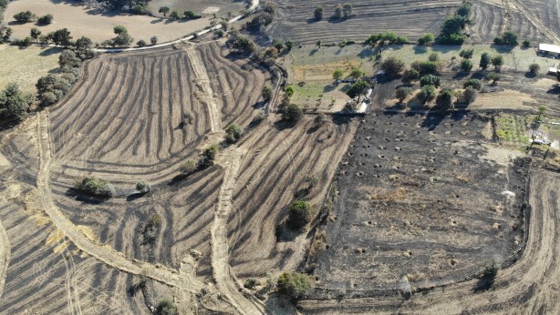 Foto - Çanakkale'den sevindiren haber! Bakan Yumaklı duyurdu