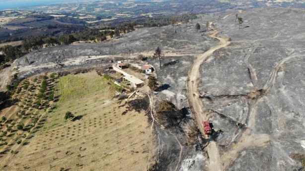Çanakkale'den sevindiren haber! Bakan Yumaklı duyurdu